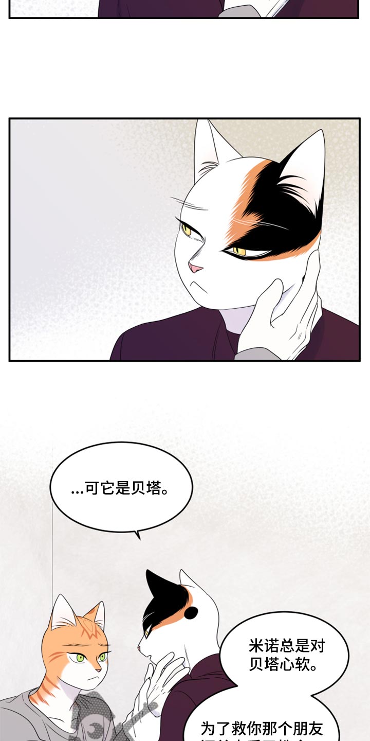 灵猫动漫漫画,第55章：【第二季】你再坚持一下1图