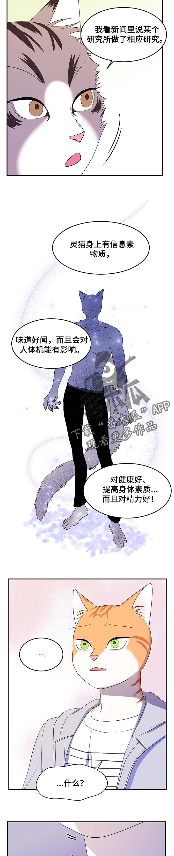 灵猫动漫漫画,第19章：信息素1图