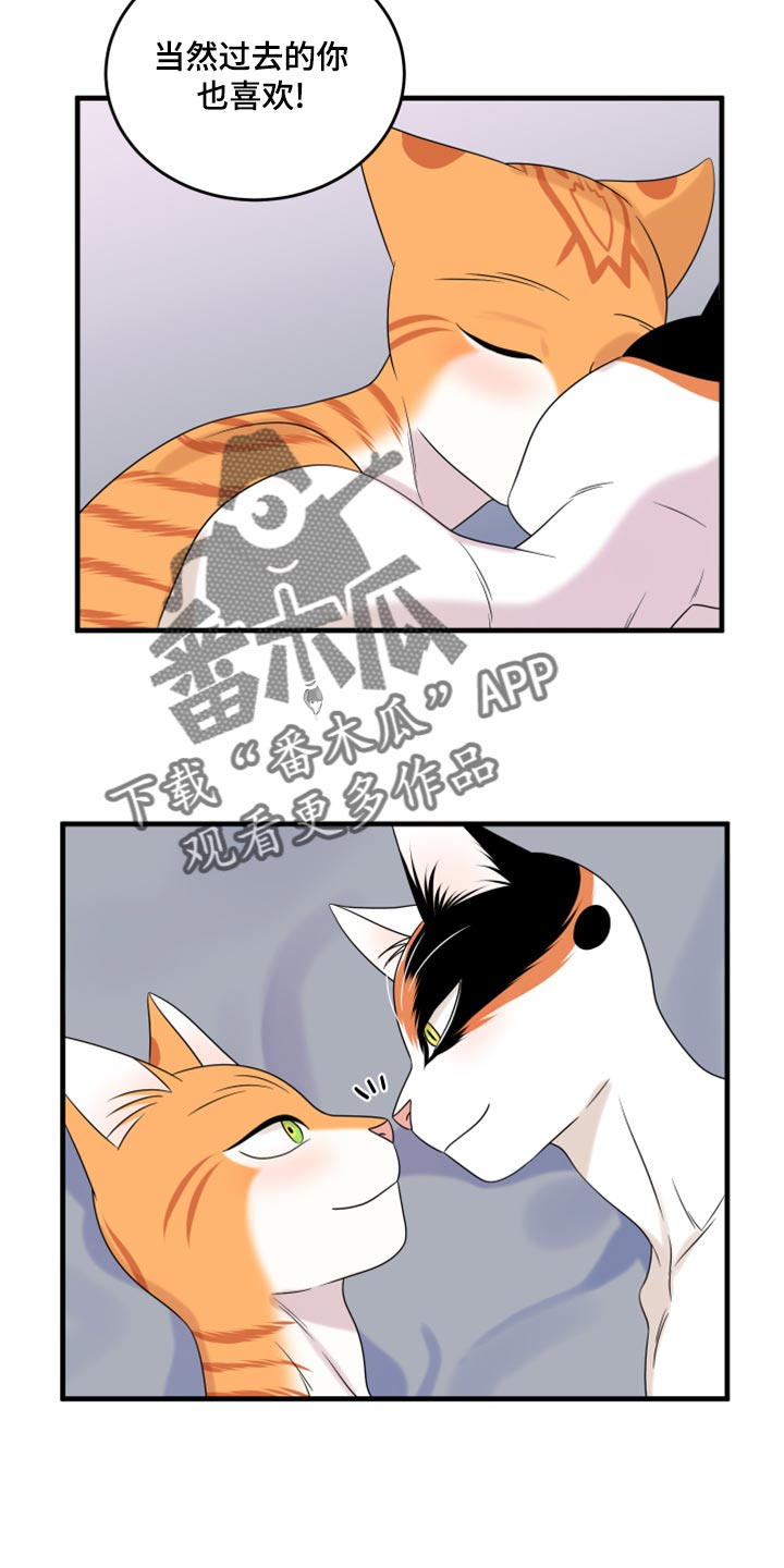 灵猫欧米伽免费阅读漫画,第92章：【第二季】改变的勇气1图