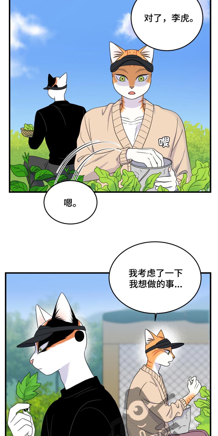 灵猫欧米伽第三季156章漫画,第87章：【第二季】学习防身术2图