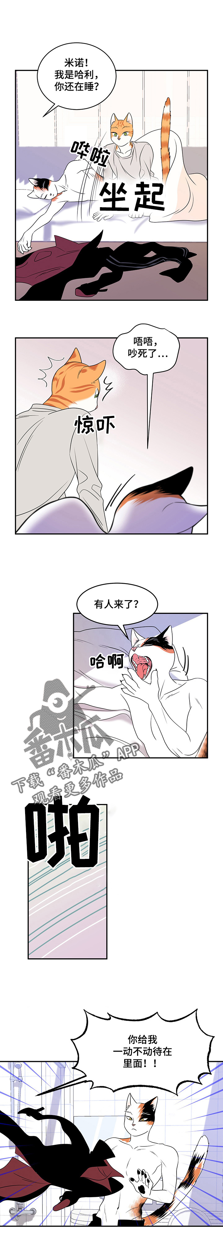 灵猫欧米伽免费阅读漫画,第4章：讨厌我2图