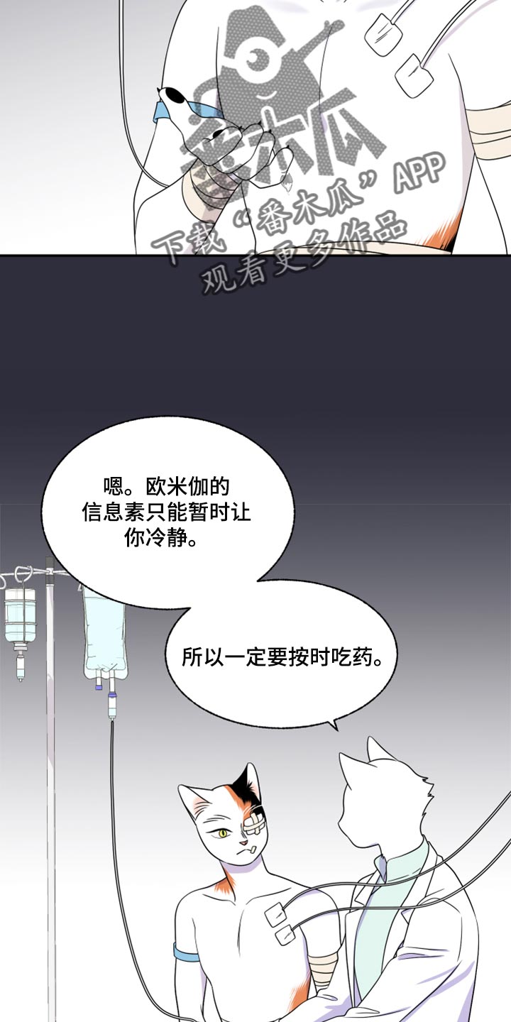 灵猫欧米伽免费版在哪里看漫画,第52章：我的人生我做主（第一季完结）1图