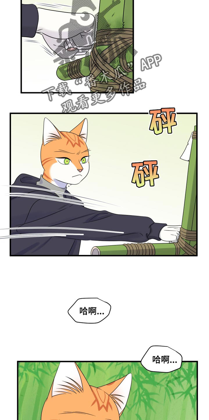 灵猫欧米伽漫画,第98章：【第二季】想回去1图