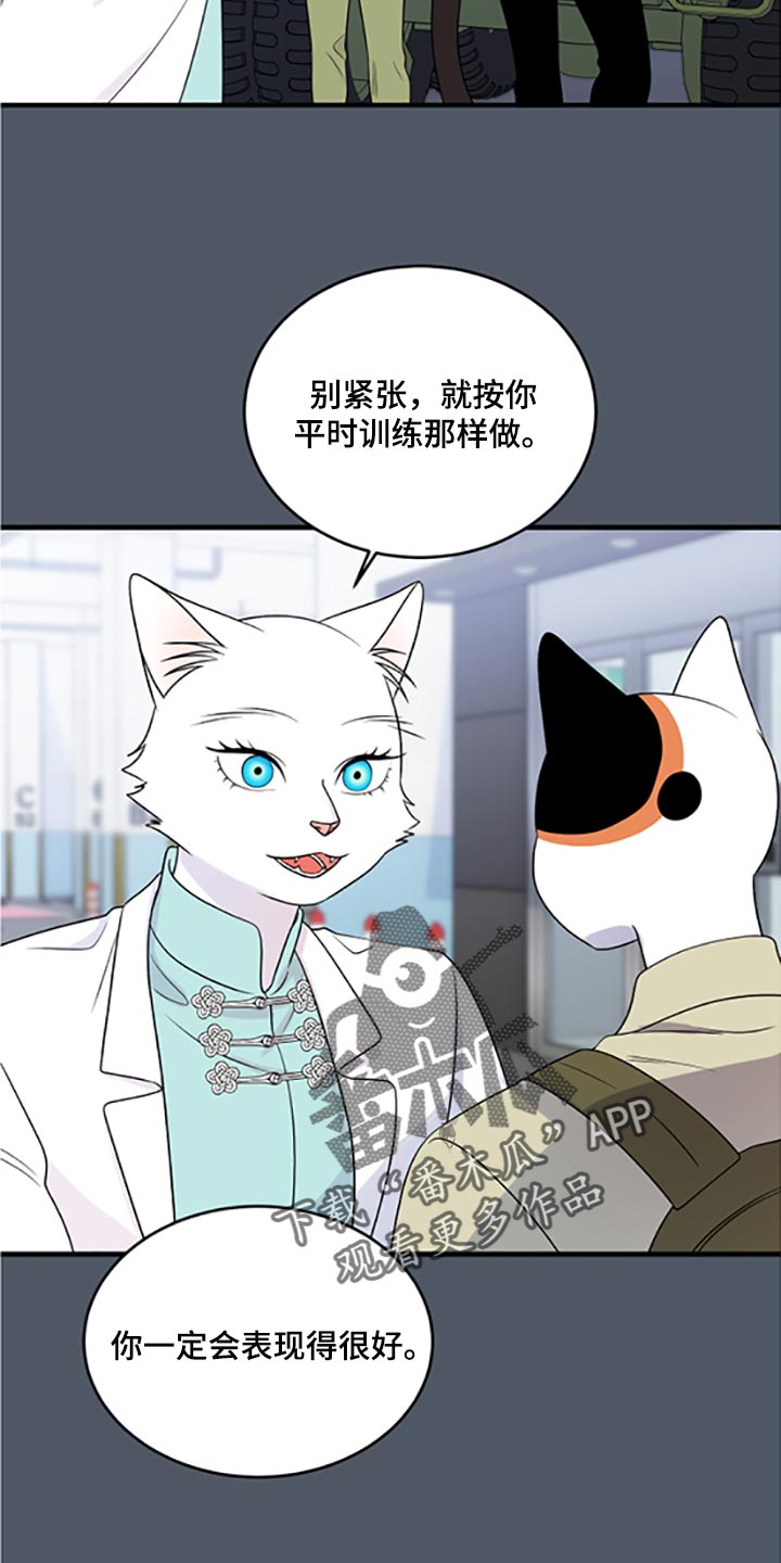 灵猫欧米伽大结局漫画,第79章：【第二季】傻瓜1图