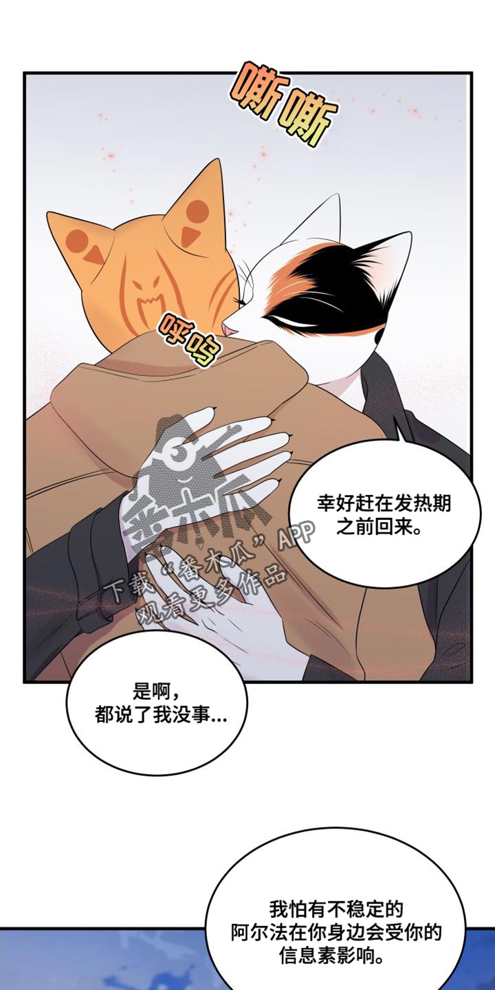 灵猫欧米伽第三季156章漫画,第104章：【第二季】更重要的事1图