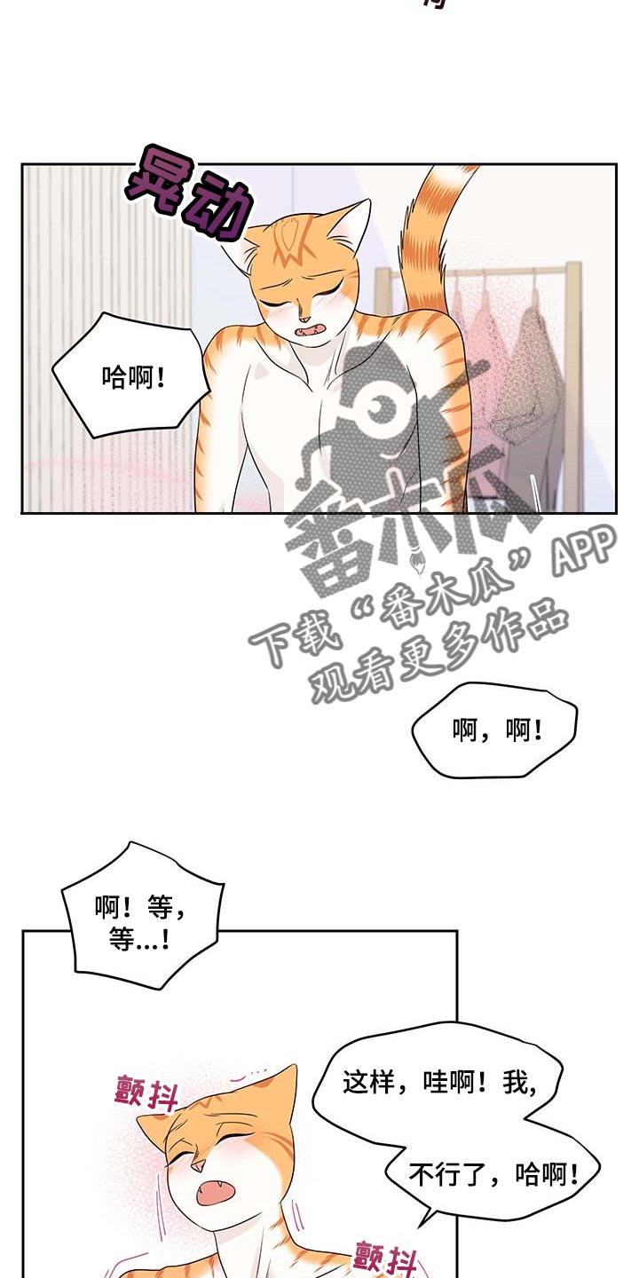 灵猫欧米伽漫画作者漫画,第46章：征服1图