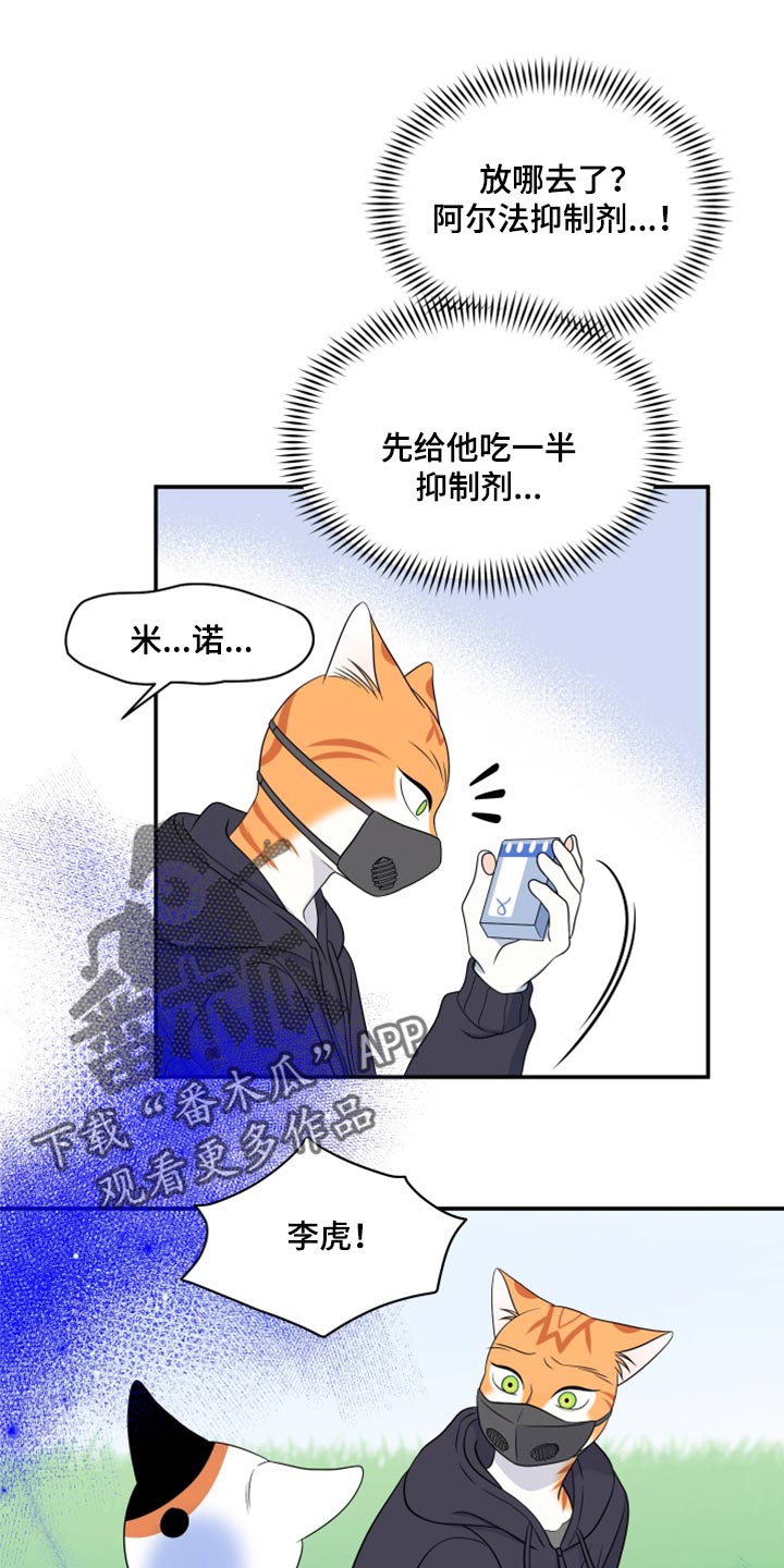 灵猫动画漫画,第62章：【第二季】撑过这一次就行1图