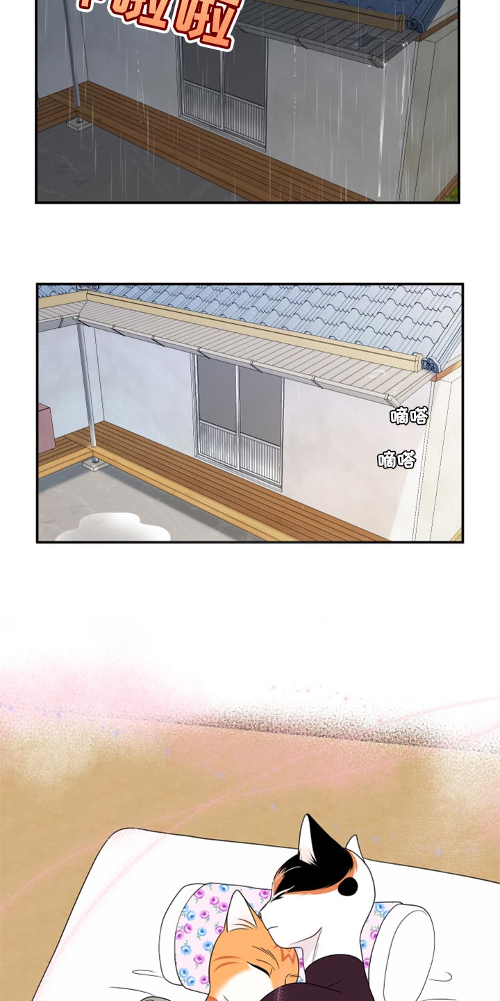 灵猫欧米伽漫画,第54章：【第二季】你要丢下我?1图