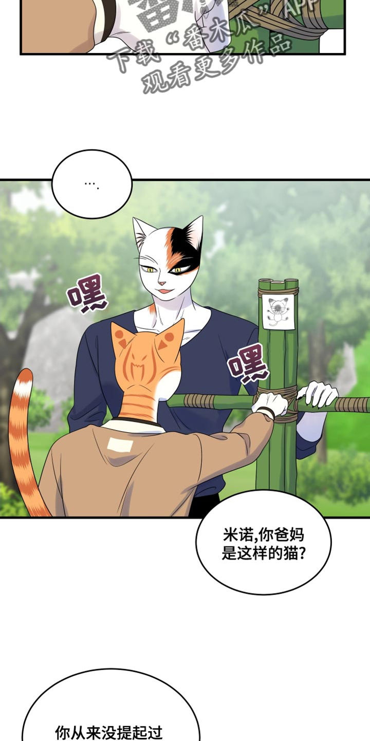 灵猫欧米伽漫画下拉漫画,第98章：【第二季】想回去2图