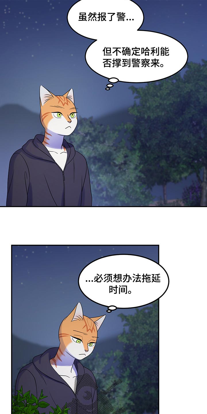 灵猫是什么动物漫画,第35章：一个人很危险2图