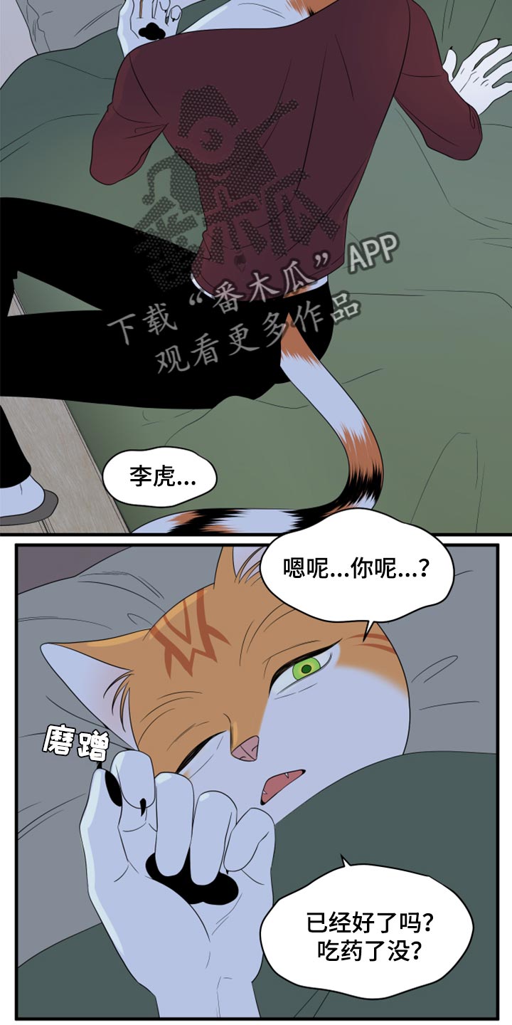 灵猫是什么动物漫画,第66章：【第二季】你可以放心了1图