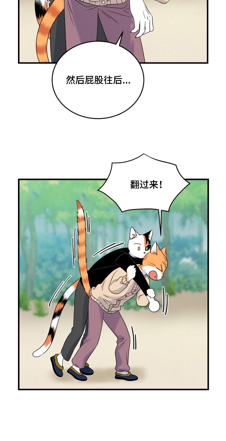 灵猫欧米伽3漫画,第87章：【第二季】学习防身术2图