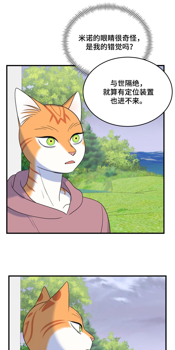 欧米伽3对猫咪有什么作用漫画,第90章：【第二季】想得太乐观1图