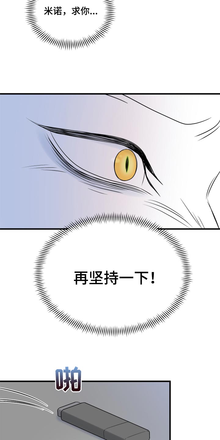 灵猫欧米伽漫画,第65章：【第二季】你到底在想什么？2图