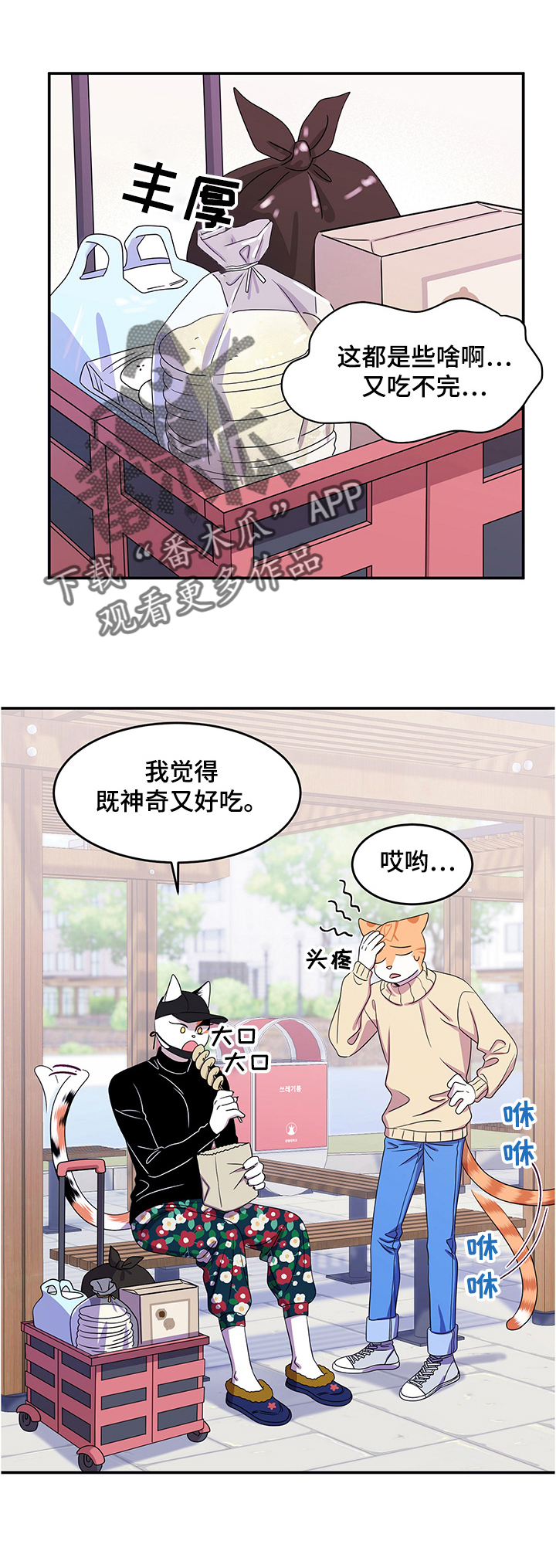 灵猫欧米伽3漫画,第9章：集市1图