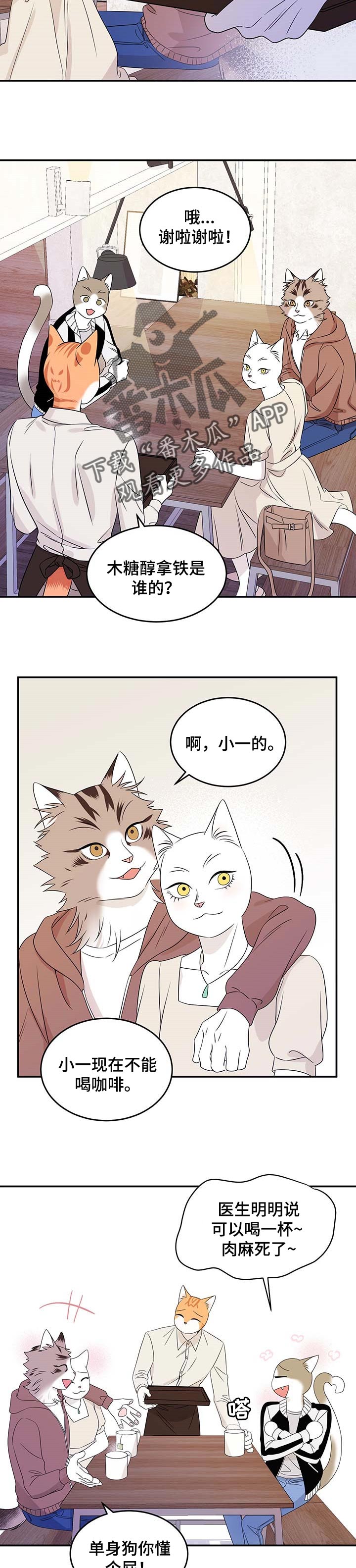 欧米伽3对猫咪有什么作用漫画,第24章：可惜1图