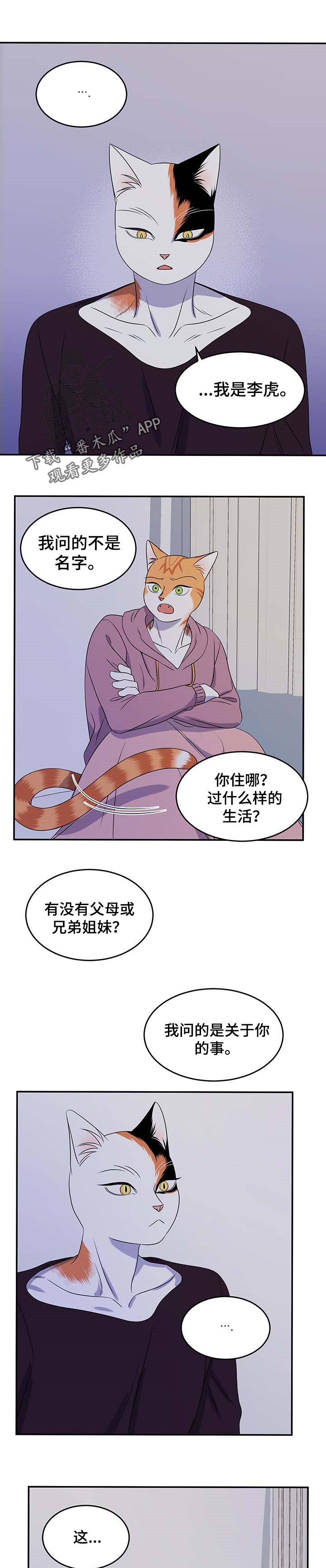 灵猫欧米伽什么时候更新第三季漫画,第32章：不想见到你2图