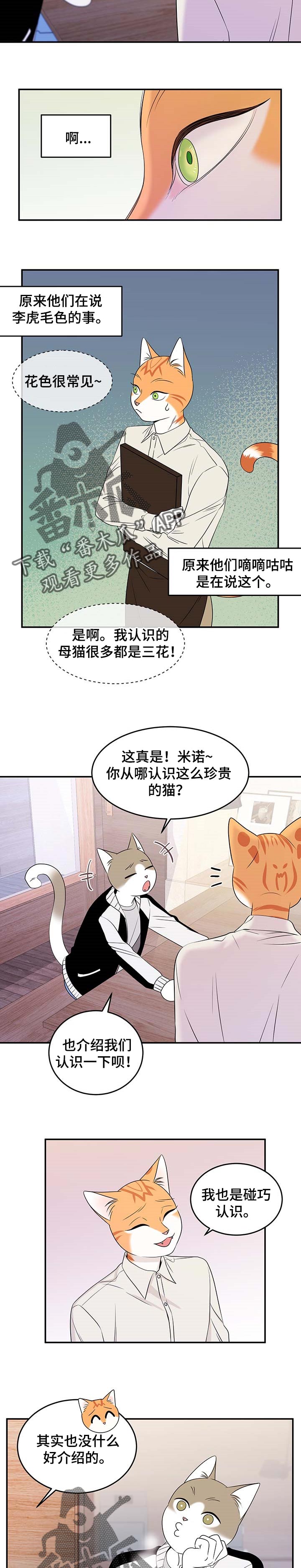 灵猫欧米伽在哪里免费看漫画,第25章：珍贵2图