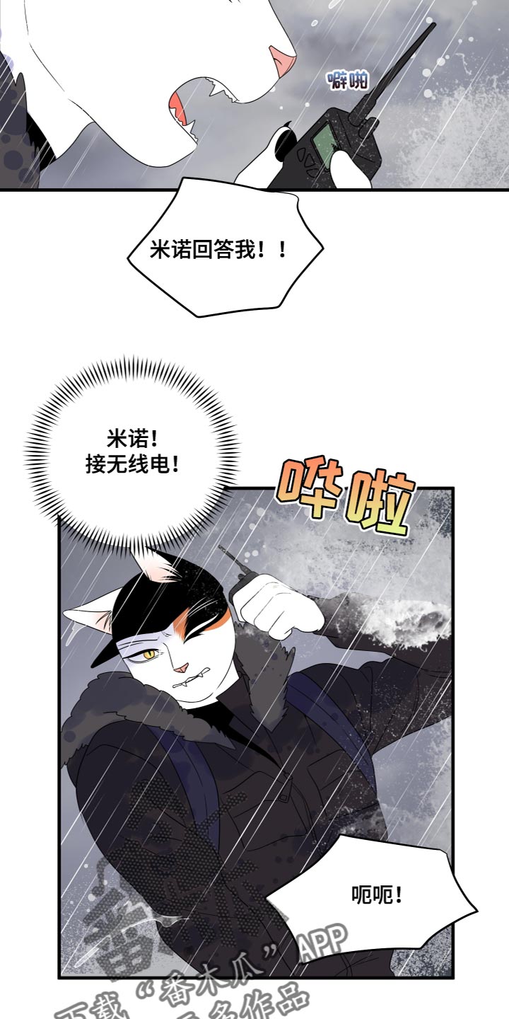 灵猫欧米伽漫画全集免费观看漫画,第110章：【第二季完结】该回家了1图