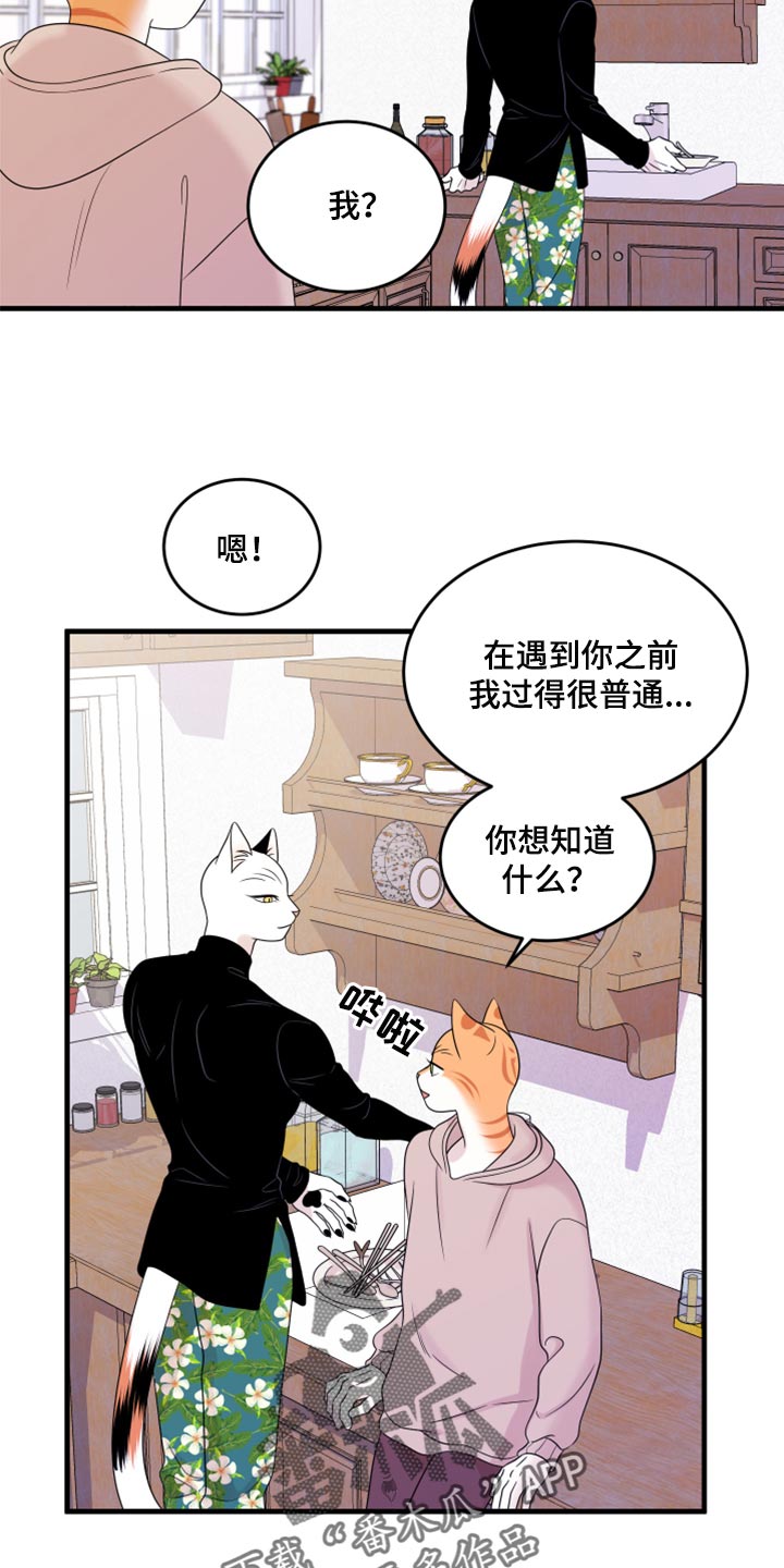 灵猫欧米伽最新话漫画,第74章：【第二季】妙鱼钥匙扣1图