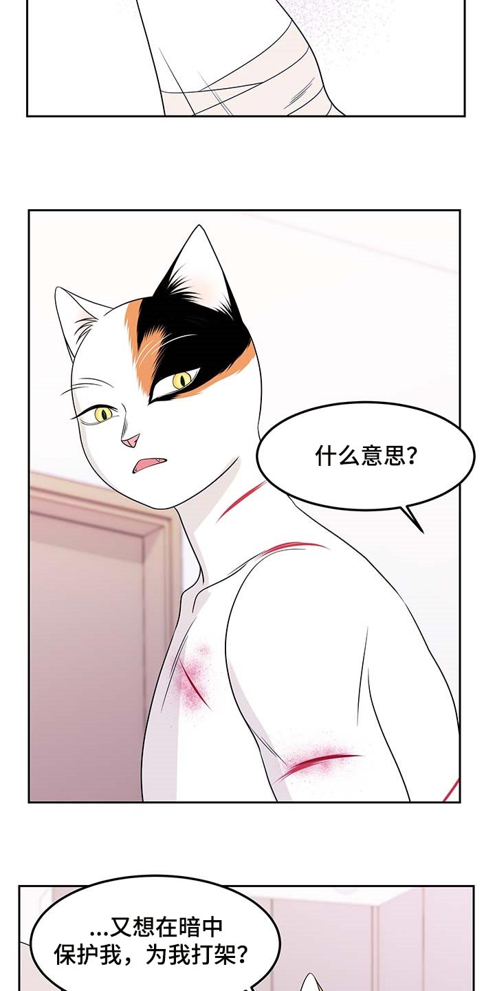 灵猫欧米伽漫画免费漫画,第45章：别哭1图