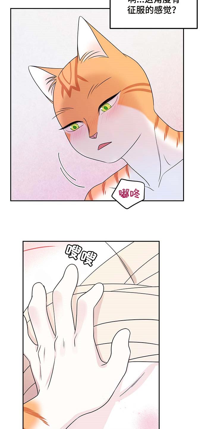 灵猫欧米伽免费版在哪里看漫画,第46章：征服1图