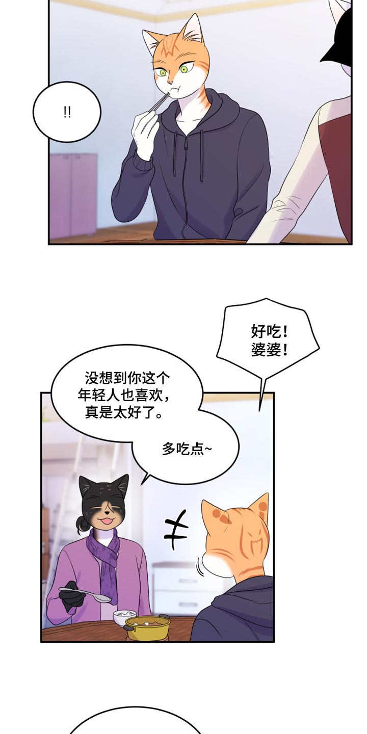 灵猫欧米伽最新话漫画,第59章：【第二季】离开2图