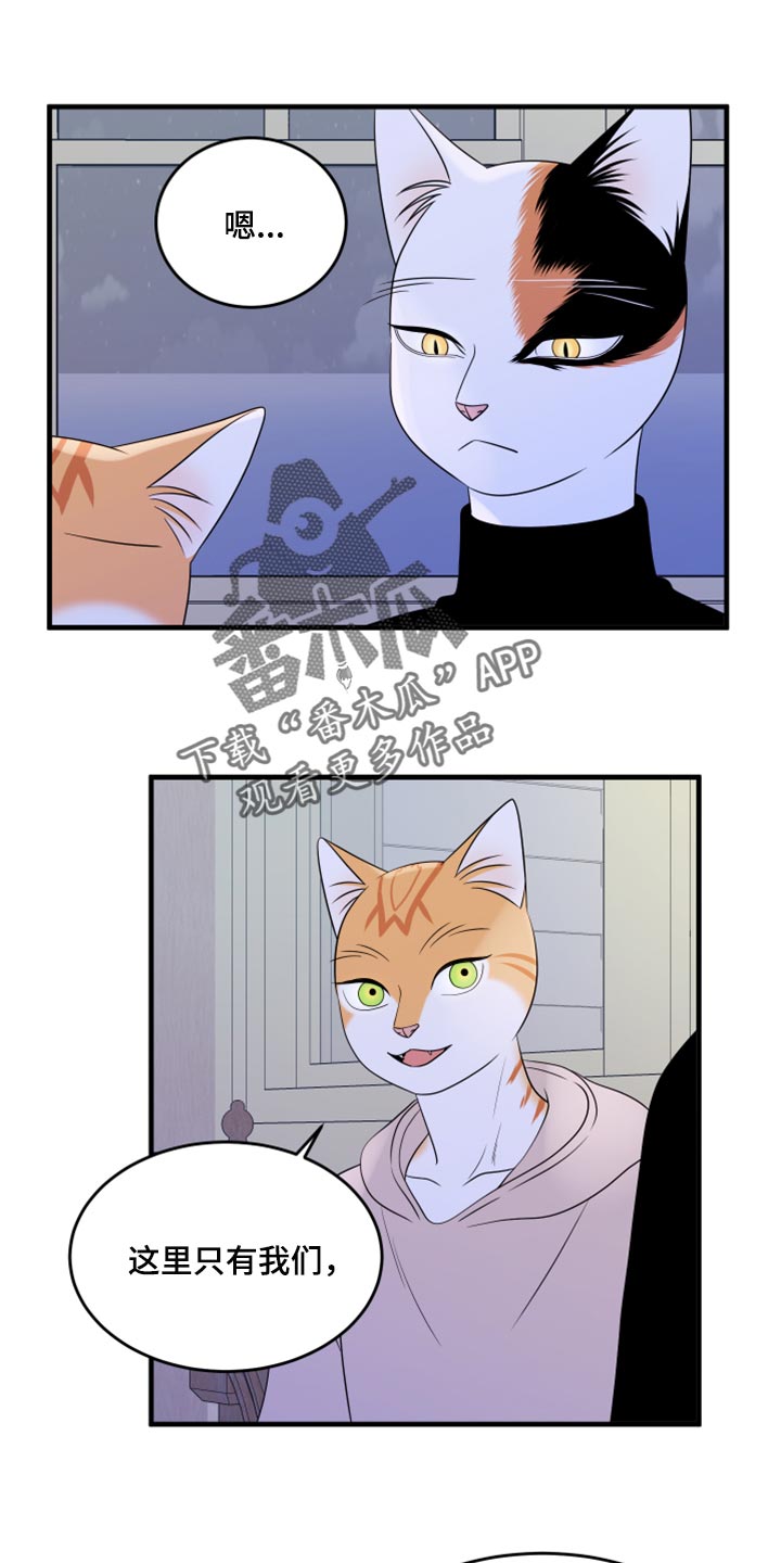 灵猫欧米伽漫蛙叫什么漫画,第75章：【第二季】约定2图