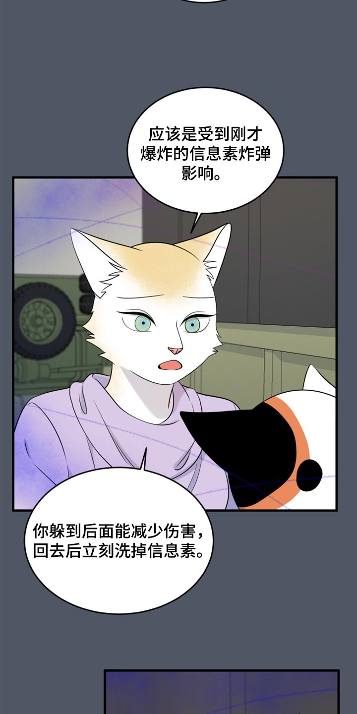 灵猫苏苏漫画,第83章：【第二季】捕猎1图