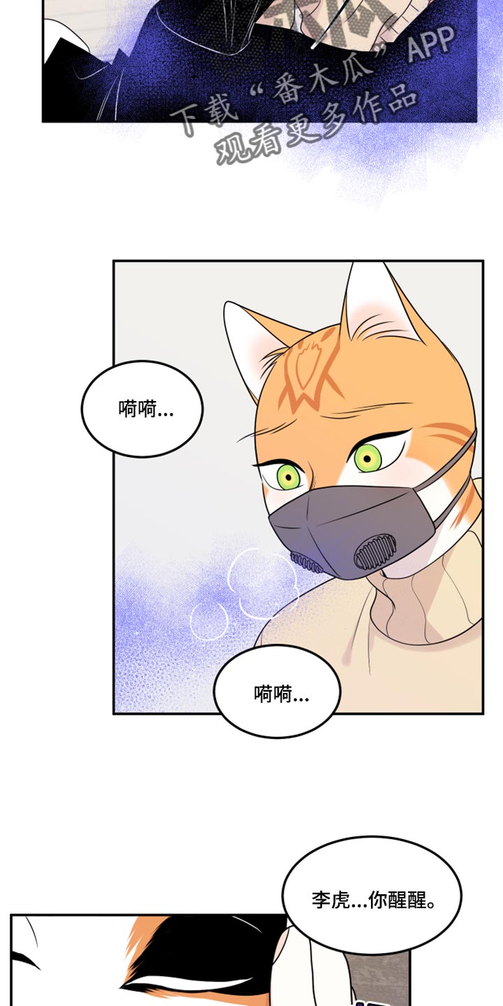 灵猫欧米伽是双男主吗漫画,第51章：决定1图