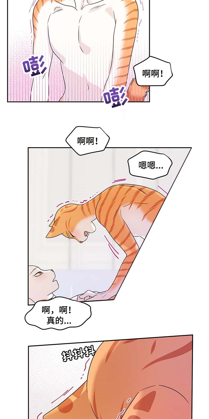 灵猫欧米伽漫画作者漫画,第46章：征服2图