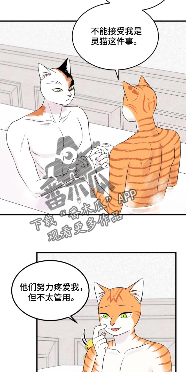灵猫欧米伽漫画,第71章：【第二季】撒娇1图