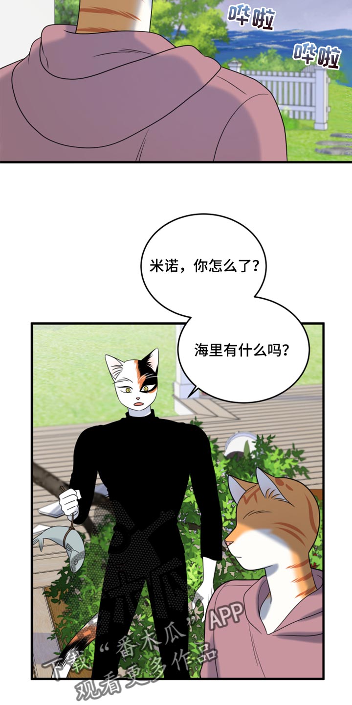 灵猫欧米伽什么时候更新第三季漫画,第90章：【第二季】想得太乐观1图