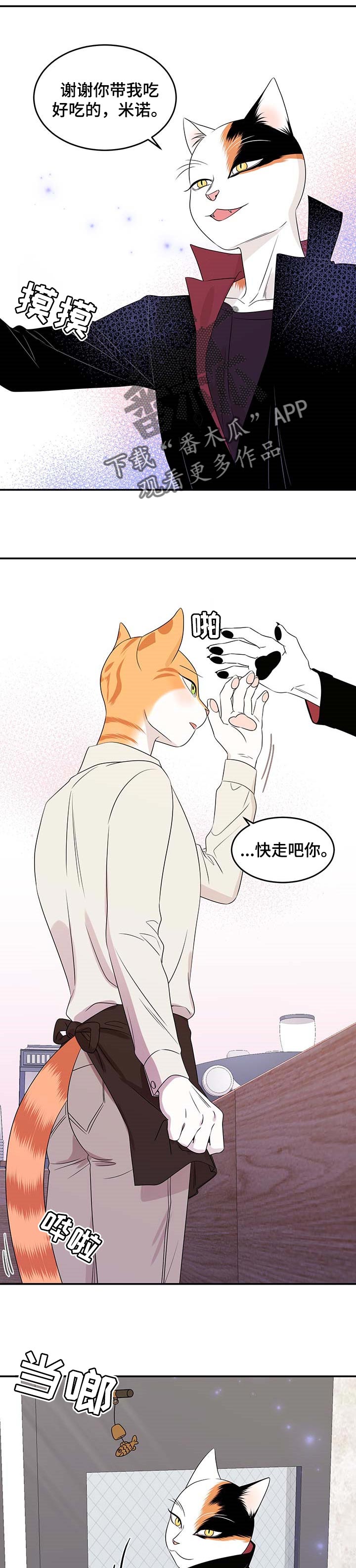 灵猫欧米伽漫画全集免费观看漫画,第24章：可惜1图