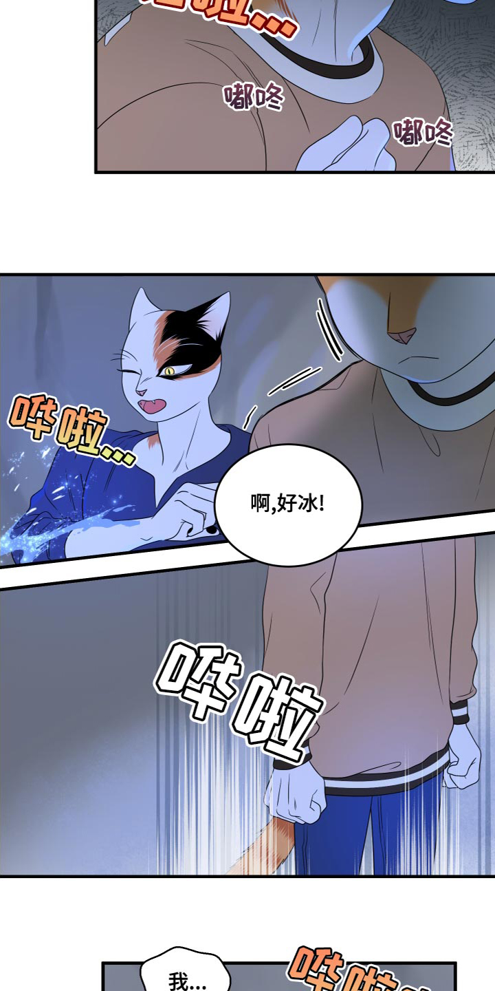 漫画灵猫欧米伽漫画,第95章：【第二季】害怕洞穴2图