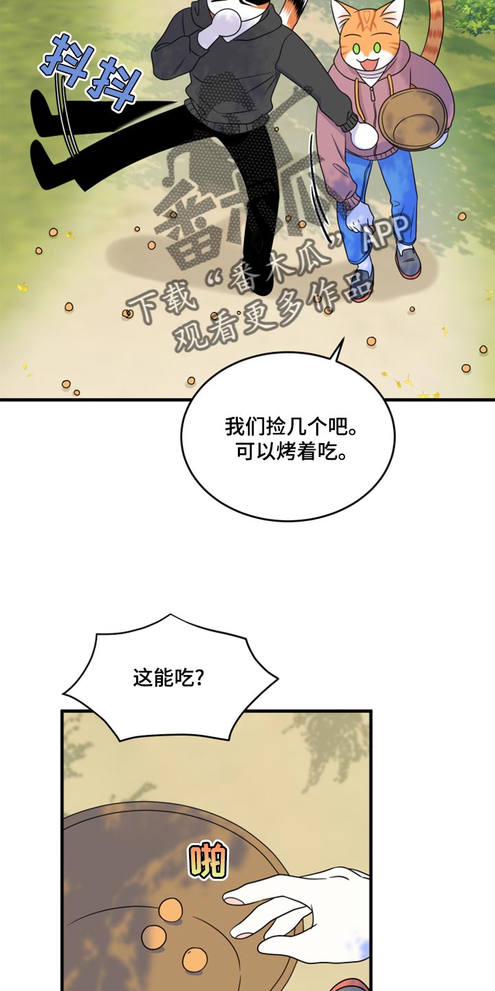 灵猫传歌曲漫画,第93章：【第二季】希望尽早离开这里2图