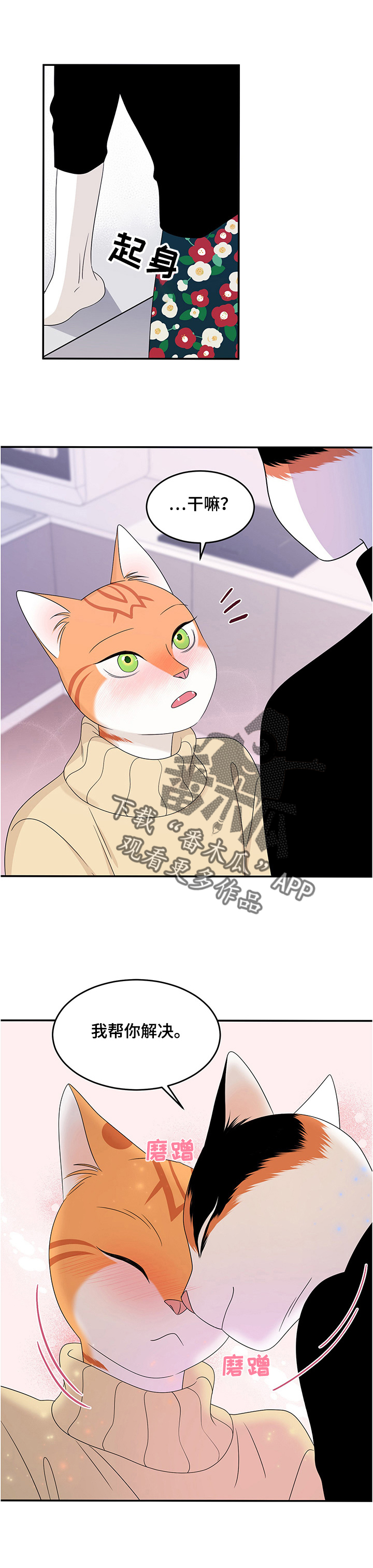 灵猫欧米伽米诺漫画,第11章：好辣1图