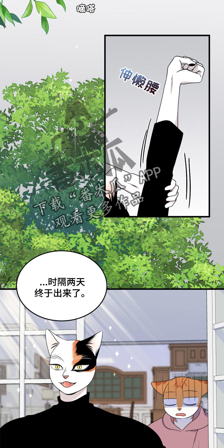 灵猫欧米伽什么时候更新漫画,第89章：【第二季】乱七八糟1图