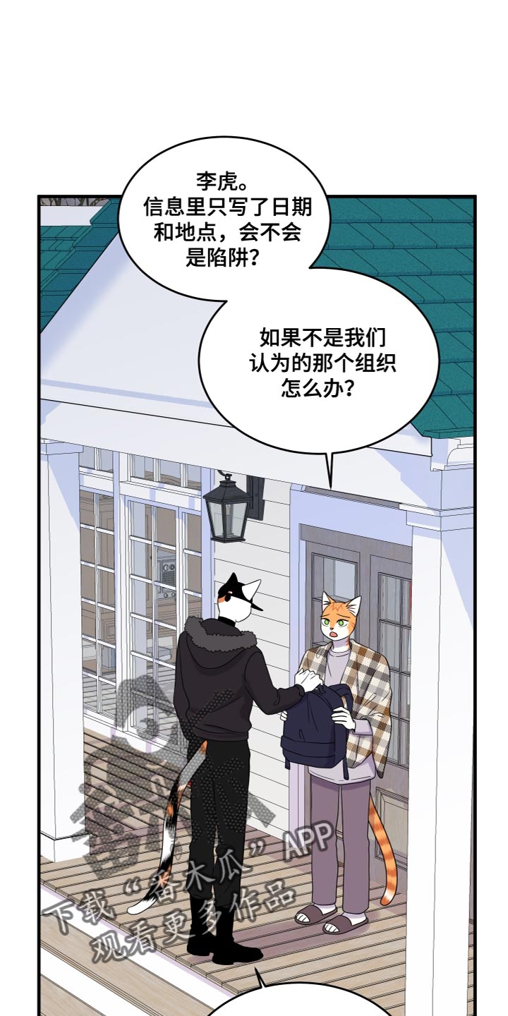 灵猫欧米伽在线观看漫画,第108章：【第二季】我很强大1图