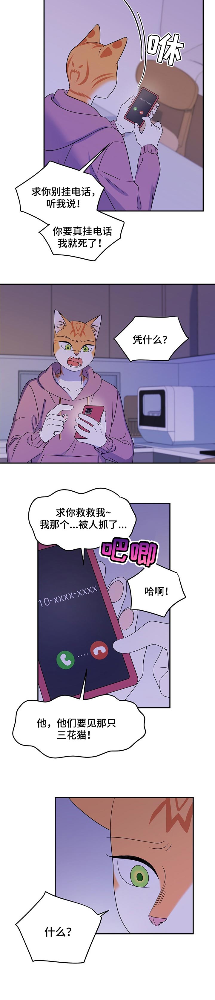 灵猫欧米伽漫画免费观看漫画,第33章：因果报应1图