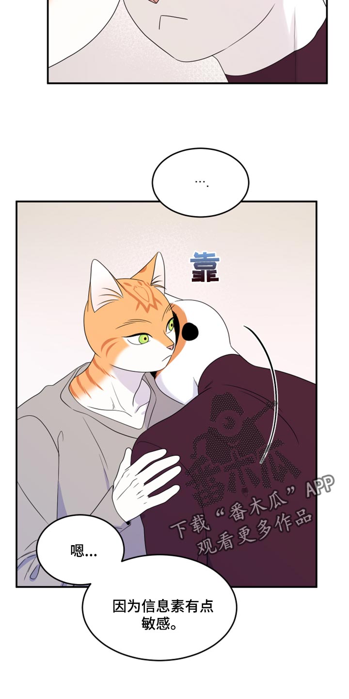 灵猫欧米伽完整版漫画,第55章：【第二季】你再坚持一下1图