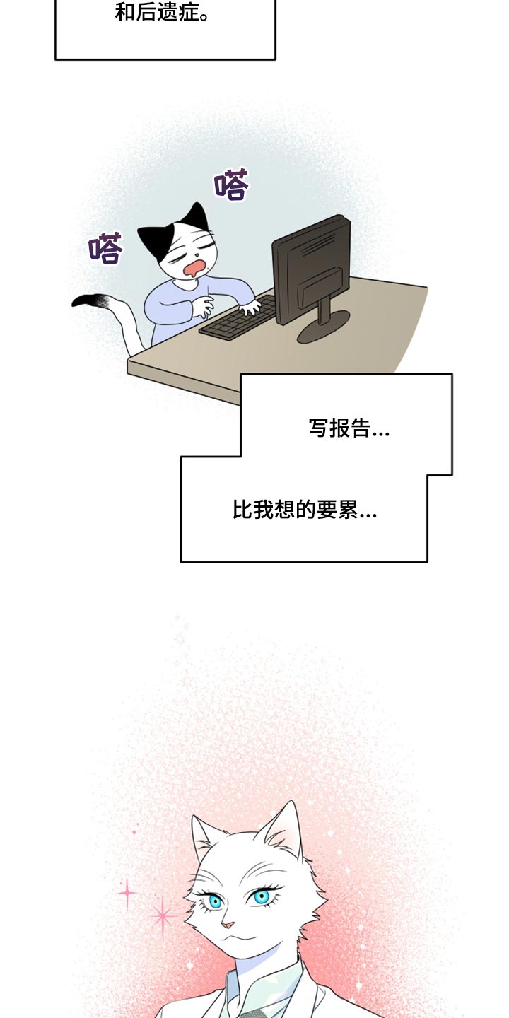 灵猫欧米伽第三季156章漫画,第57章：【第二季】新来的1图