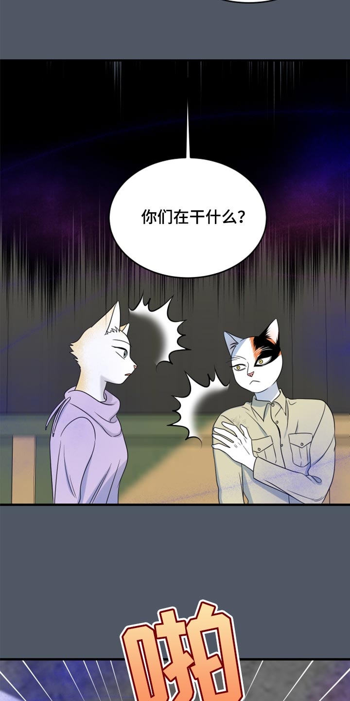 灵猫是什么动物漫画,第83章：【第二季】捕猎1图