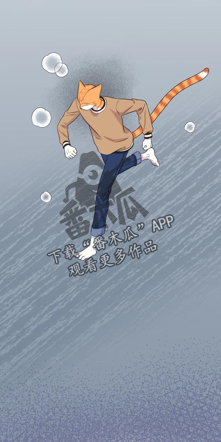 灵猫欧米伽漫画,第97章：【第二季】噩梦1图