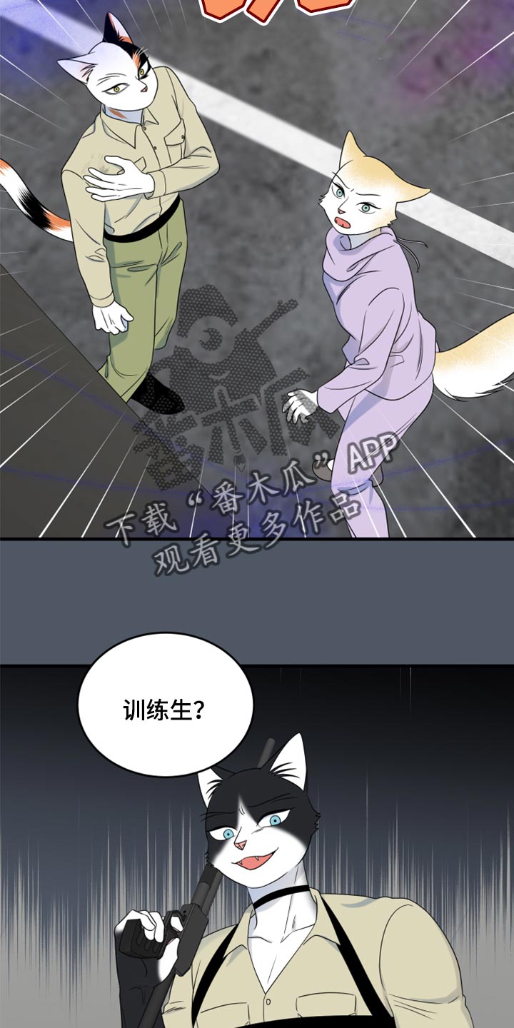 灵猫是什么动物漫画,第83章：【第二季】捕猎2图