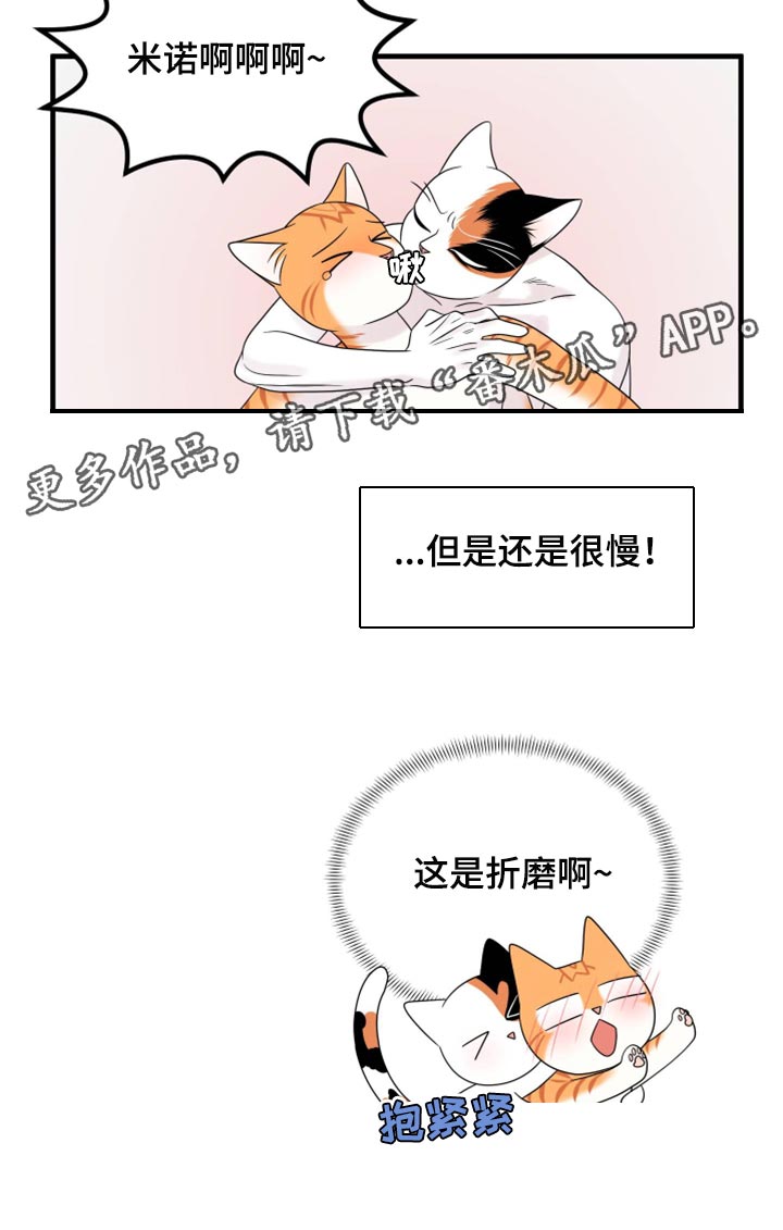 灵猫欧米伽合集漫画,第72章：【第二季】这是折磨啊1图