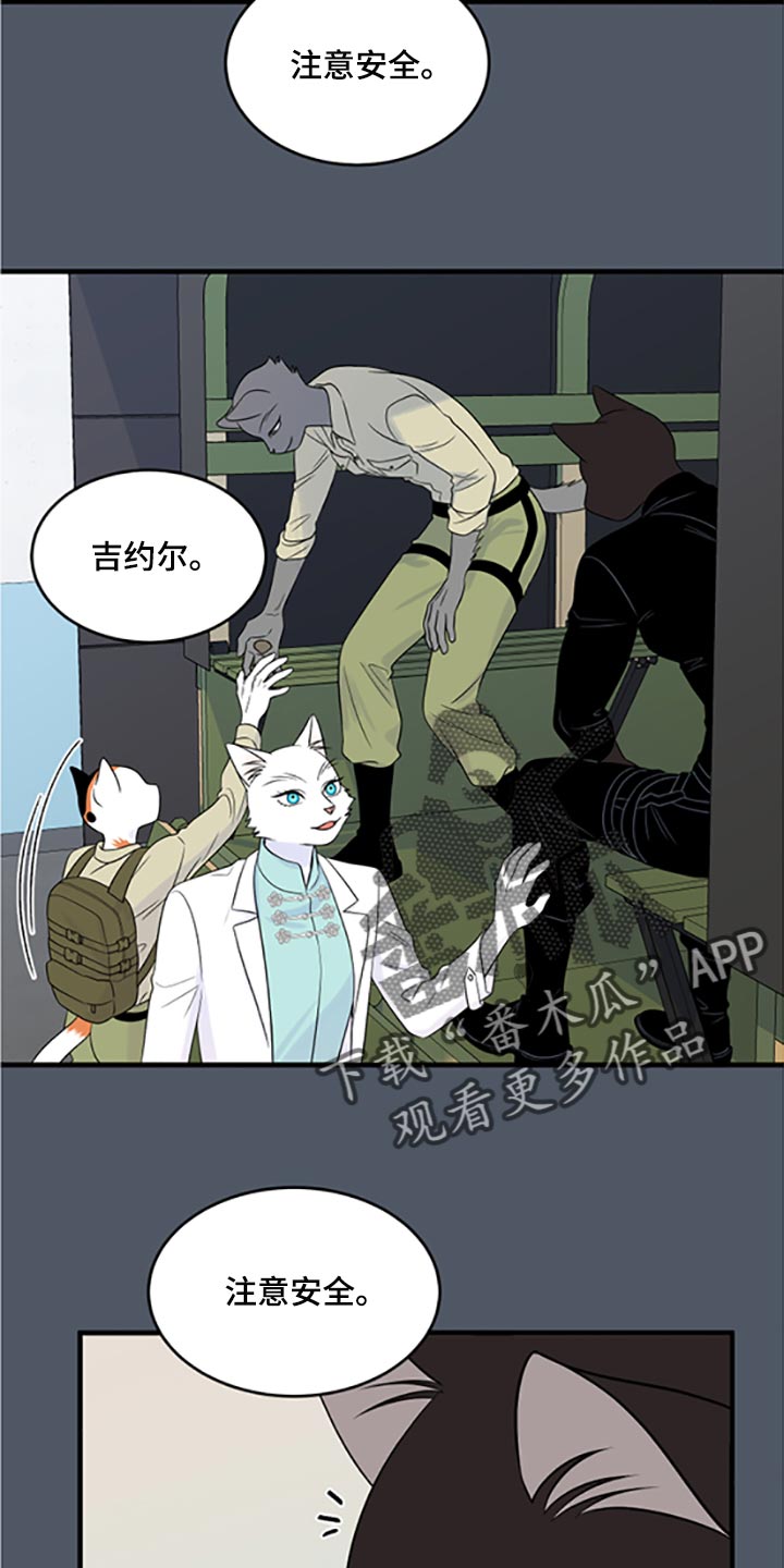 灵猫欧米伽第三季156章漫画,第79章：【第二季】傻瓜2图