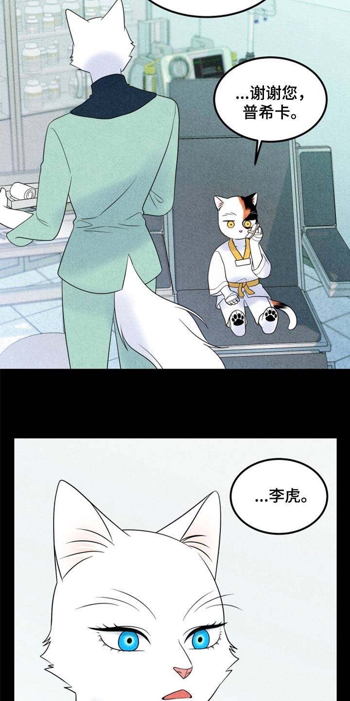 灵猫欧米伽免费版在哪里看漫画,第70章：【第二季】我想放弃1图