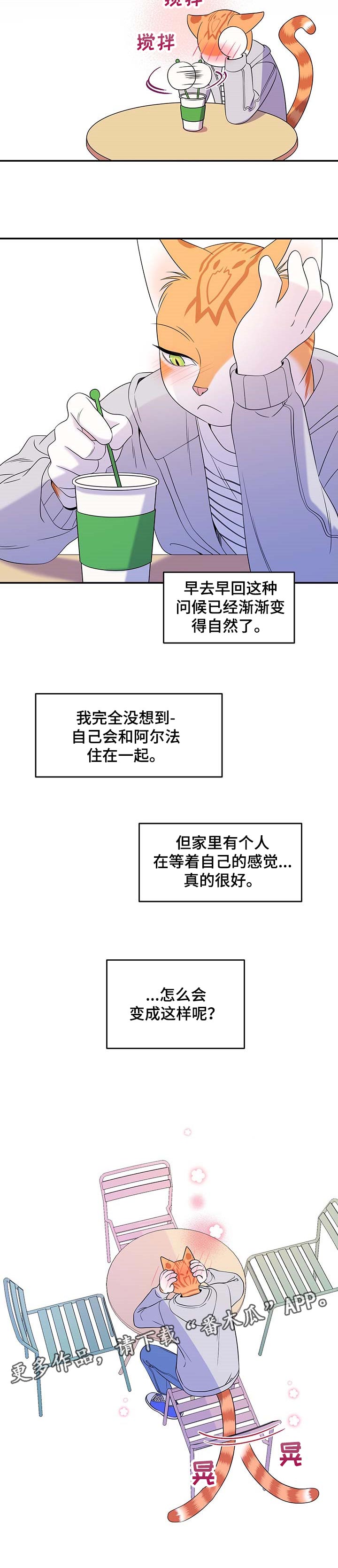 灵猫欧米伽漫画在哪里看漫画,第17章：早去早回2图