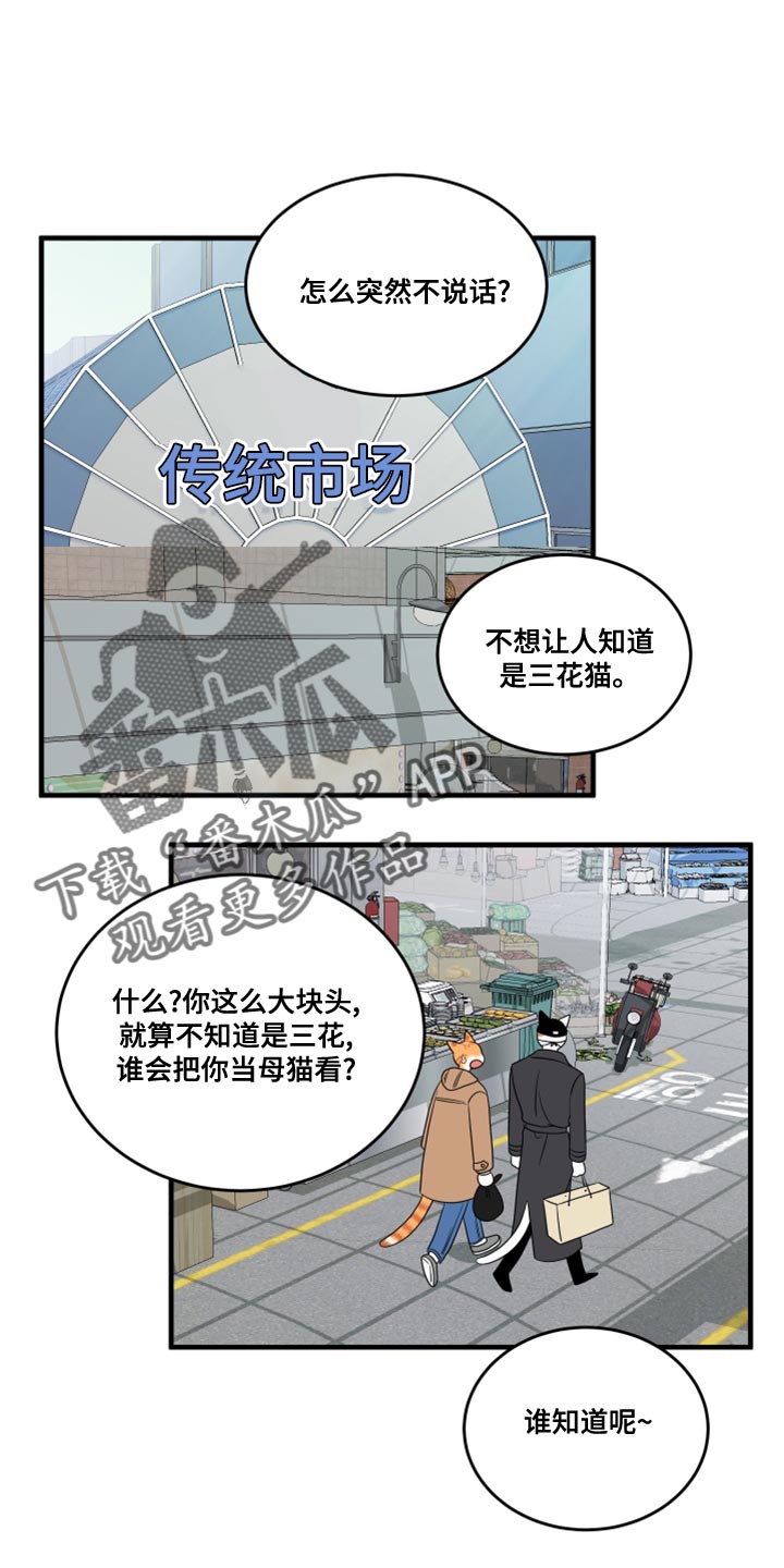 灵猫欧米伽漫画,第101章：【第二季】郁闷的心情都消失了2图